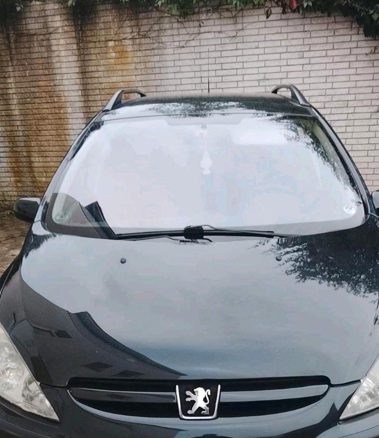 Peugeot 307 2004 — rear view