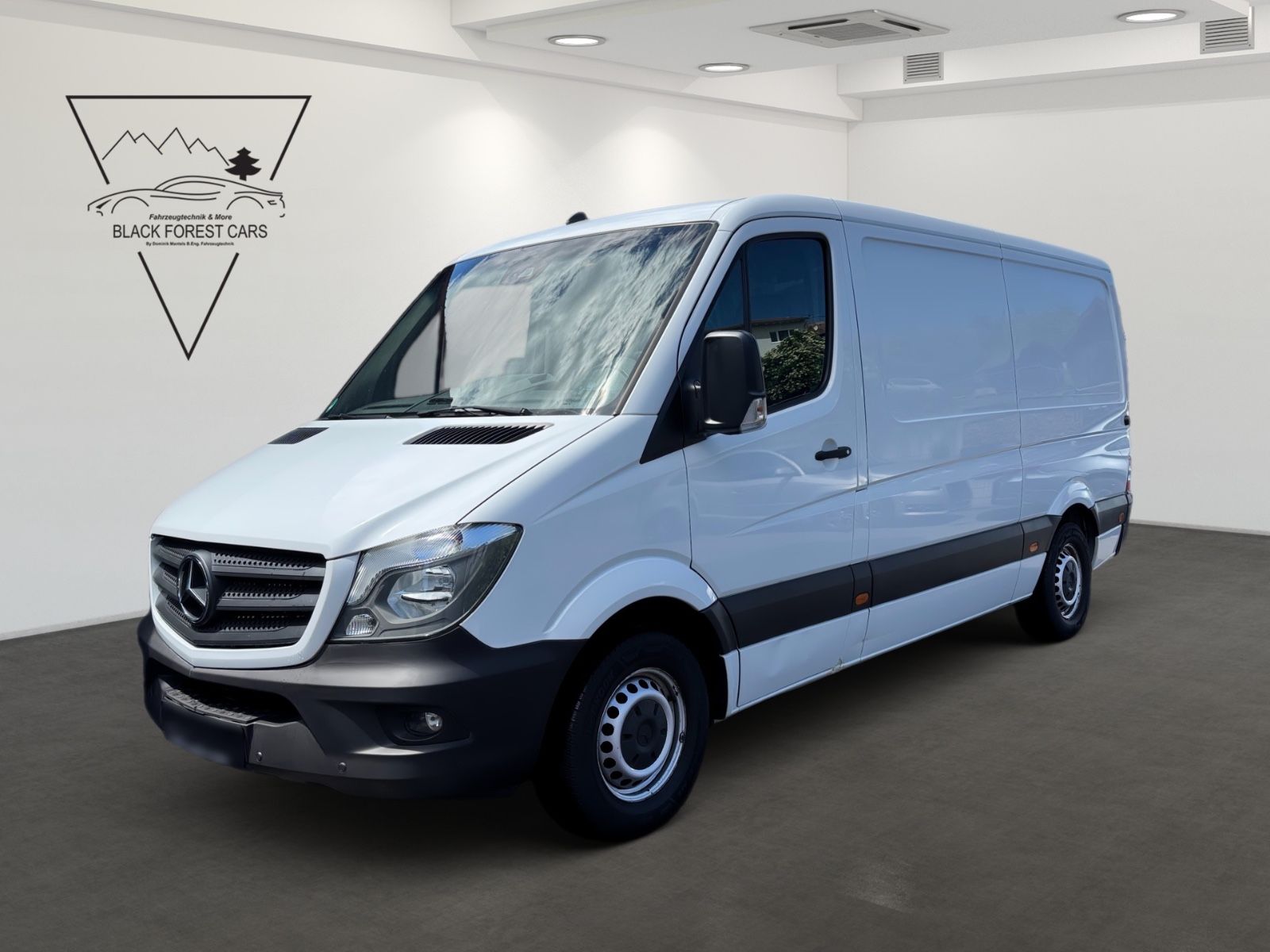 MERCEDES-BENZ Sprinter II Kasten 316 CDI 1.Hand TÜV INSPEKTION