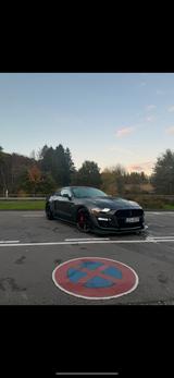 Ford Mustang GT Shelby Umbau US-Import !! - Ford Mustang in Leverkusen