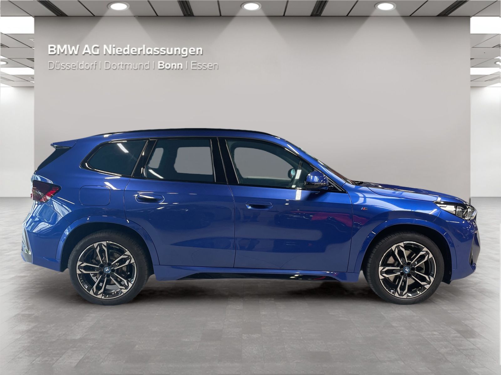 BMW X1 xDrive30e M Sport AHK Driv.Assist.Prof LED foto 5