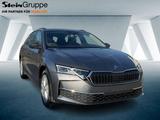 Skoda Octavia Combi 110kW 2.0 TDI Selection ACC Navi - Skoda Neuwagen