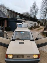 Fiat Panda 30 , 1.Serie ,Zertifikat ,Wertgutach... - Fiat Gebrauchtwagen von 1982