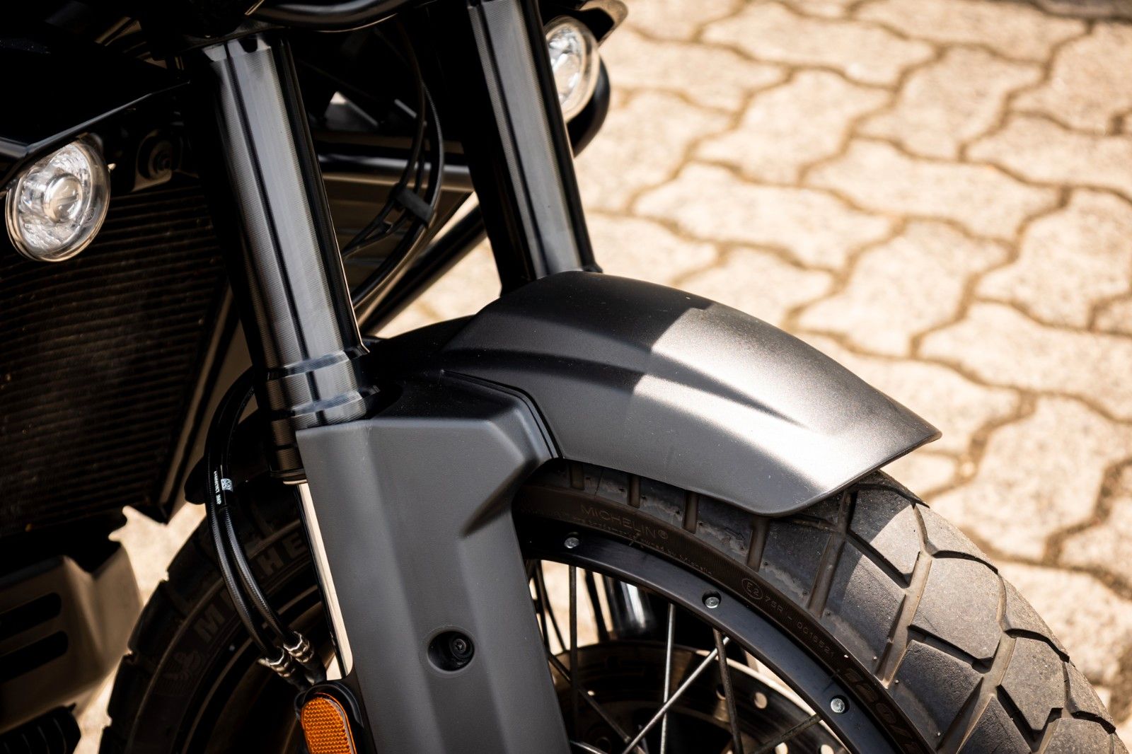 Fahrzeugabbildung Harley-Davidson RA1250S Pan America Special - Screamin Eagle
