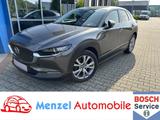 Mazda CX-30 SKYACTIV-D 1.8 Aut. Navi AHK KAM LED Bose - Mazda CX-30 Diesel Gebrauchtwagen