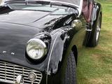Triumph TR3 - aus 1958 mit Benzin-Antrieb: Cabrio