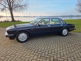 Jaguar Daimler double six xj81 v12  - blaue Jaguar Daimler