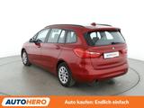 BMW 2er 218i Gran Tourer Advantage*TEMPO*PDC*SHZ*ALU - BMW: 2er