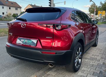Mazda CX-30 Selection AWD Lederausstattung