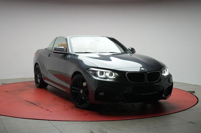 BMW 220 i Cabrio M Sport Navi/Leder/Temp/H&K/LED