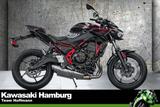 Kawasaki Z 650 ABS, 2025, sofort lieferbar, Lieferservice - Angebote entsprechen deinen Suchkriterien