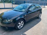Audi AUDI A3 TD 1.9 Diesel TÜV Neu - Audi A3 aus 2007: 1.9