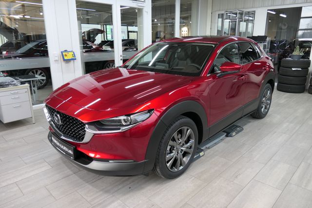 Mazda CX-30 >2025< / e-SKYACTIV 140 Takumi Leder