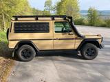 Mercedes-Benz G 300 CDI Professional - Rarität, sehr selten - Mercedes-Benz G 300: Cdi Professional