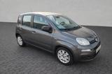 Fiat Panda Easy - Fiat Panda Gebrauchtwagen in Bielefeld