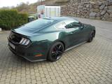 Ford Mustang 5.0 Ti-VCT V8 Bullitt Bullitt MAGNE RIDE - Ford Mustang: Bullit