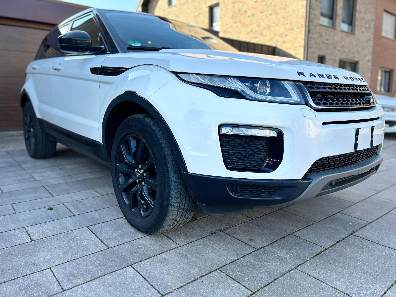 Land Rover Range Rover Evoque Pure NUR EXPORT