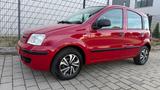 Fiat Panda 1.2 8V Dynamic AUTOMATIK TÜV,59.000KM - Fiat Panda aus 2010: Allradantrieb