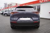 Mazda CX-30 2.0 M-Hybrid Selection LED Navi ACC Kamera - Mazda Gebrauchtwagen in Leipzig