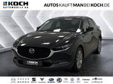 Mazda CX-30 SKYACTIV-G 2.0 M-Hybrid SELECTION Navi HUD - Mazda CX-30 Gebrauchtwagen in Berlin