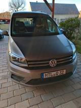 Volkswagen Caddy 1,4TSI 92kW DSG Rollstuhl geeignet  - Volkswagen Caddy: Van, 1.9