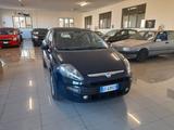 Fiat Punto Evo 1.2 5 porte Dynamic - blaue Fiat Punto Evo