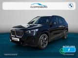 BMW X1 xDrive30e M Sportpaket 0,49% Finan. Head-Up U - BMW: E49