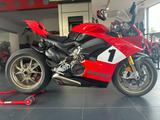 Ducati Panigale V4 25 Anniversario 916 Foggy - DUCATI 916