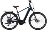 Pegasus Strong EVO 10 Lite L - Pegasus E-Bikes