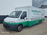 Fiat Ducato 230 Verkaufswagen FLEISCH +HACKFLEISCH,Kü - Fiat Ducato verkaufswagen