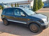 Ford Fusion 1,4 l - Ford Fusion: Van