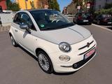 Fiat 500 Collezione - Fiat 500 Gebrauchtwagen in Nürnberg