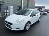 Fiat Punto 1.2 8V POP/ Klima /1 Hand/ TÜV Neu - Fiat Punto: Pop