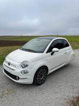 Fiat Ellenator 500 Dolcevita Hybrid  - Fiat 500 Ellenator Gebrauchtwagen