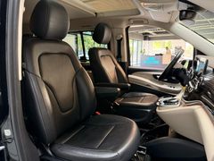 MERCEDES-BENZ V300d 4m Marco Polo/AMG/ILS/Leder/360°/CarPlay