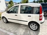 Fiat Panda 1,2 Classik mit Klimaanlage