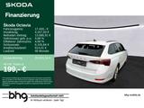 Skoda OCTAVIA COMBI 1.0 TSI AMBITION - Skoda Octavia: Combi Ambition