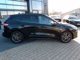 Ford Kuga "ST-Line"*GJR*SHZ*KAMERA*TWA* - gebrauchte Ford SUV & Geländewagen
