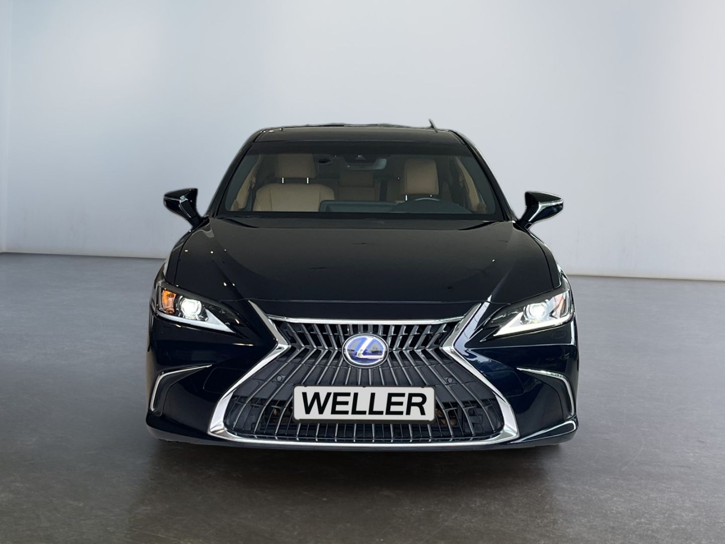 Lexus ES 300 h Business Line *Bi-LED*ACC*PDC*CAM*GSD*N imagem 2