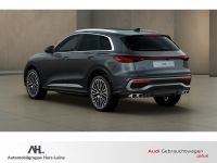 Audi SQ5 - Vorschau Bild 2