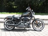 Harley-Davidson Sportster XL883N Iron 2020 Ricks - HARLEY-DAVIDSON 2 XL