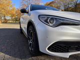 Alfa Romeo Stelvio 2.0 Turbo 16V 206kW B-Tech AT8-Q4 B-Tech - Alfa Romeo aus 2018