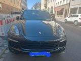 Porsche Cayenne Diesel Platinum Edition - Porsche Cayenne: Platinum Edition