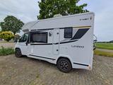 Benimar Tessoro 481 - Benimar Tessoro