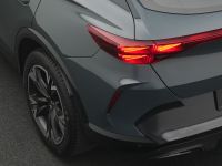 Cupra Formentor - Vorschau Bild 19