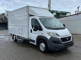 Fiat Ducato/Verkaufswagen mit Ausbau/Klima/3-Sitzer - Fiat Ducato verkaufswagen