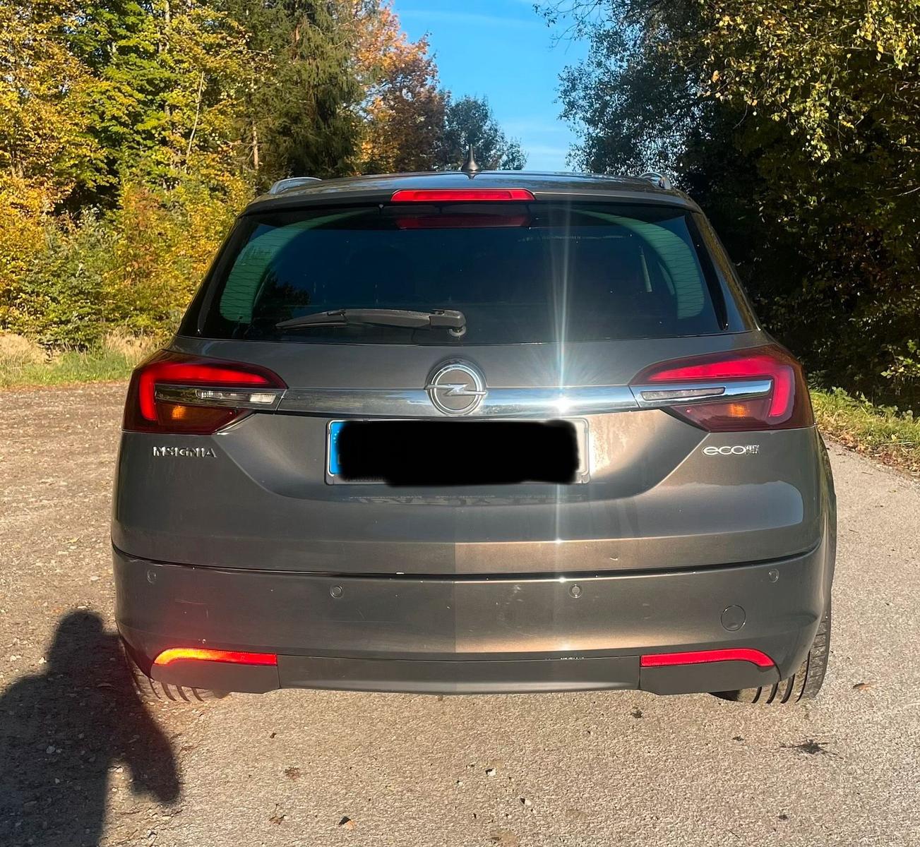 Opel Insignia 2015 — вигляд ззаду