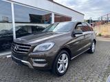 Mercedes-Benz *ML 350 CDI *BlueTec *Bi-Xenon *Schiebedach *360 - Mercedes-Benz ML 350 in Köln