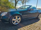 Mercedes-Benz SLK 230 Kompressor "Special Edition" Special... - Mercedes-Benz: Slk Spec