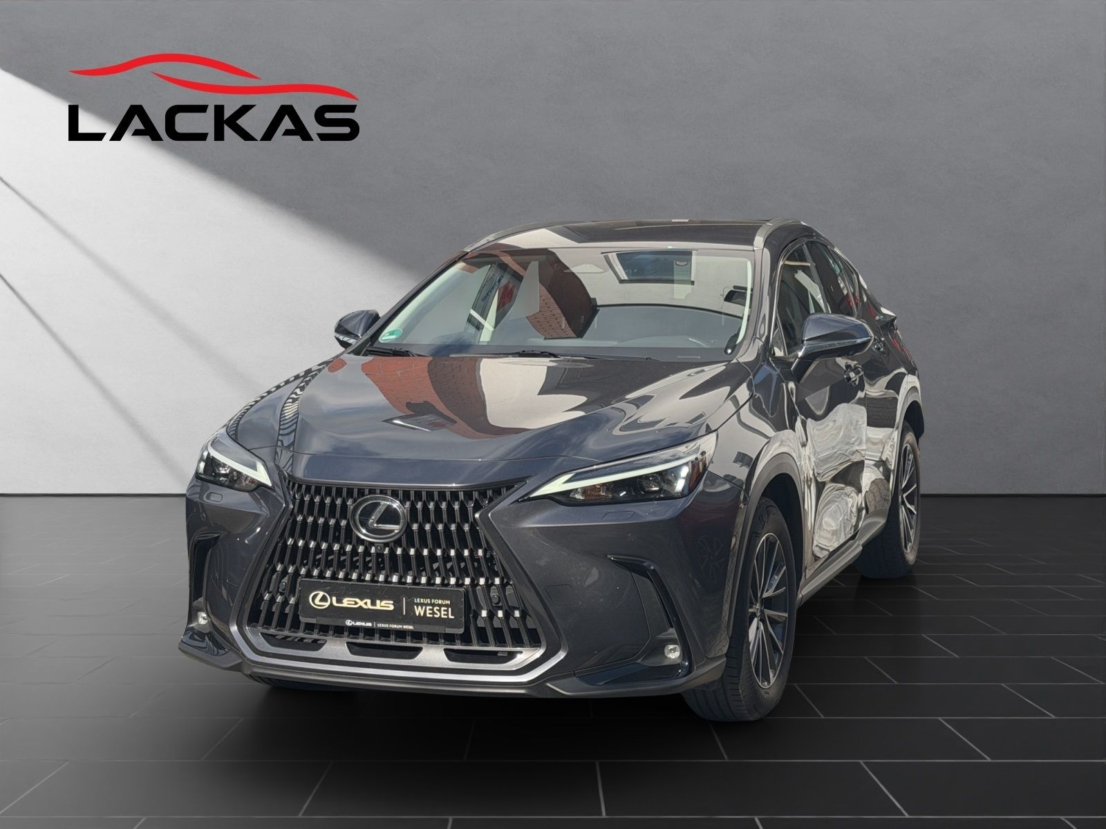 Lexus Lexus NX 350h Business*360°*TOTW*PDC*SITZLÜFTUNG*