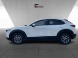 Mazda CX-30 Selection 2WD SKYACTIV-X M Hybrid 2.0 - Mazda CX-30 mit Schiebedach